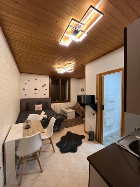Magnifique Studio de 20m2 pour 1 à 4 personnes Apartment in Canton of Vaud