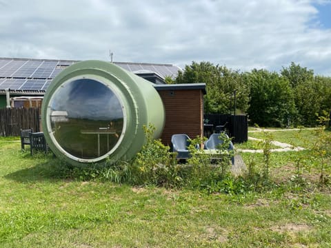 Day, Natural landscape, Garden, Garden view