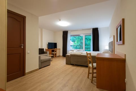 Senasis Nemunas Apartment in Lithuania