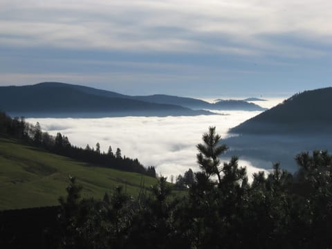 Natural landscape, Mountain view