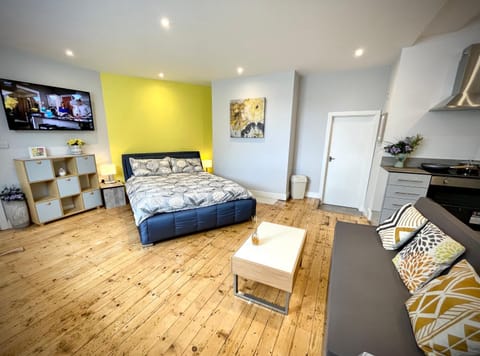 Albion Boutique Guest House Apartment hotel in Sunderland