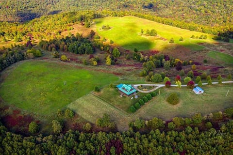 Lodge at OZK Ranch- Incredible mountaintop cabin with hot tub and views Cabin in Buffalo River