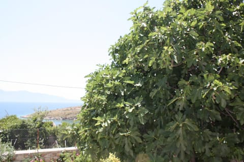 Condo Rentals Apartment in Sarandë