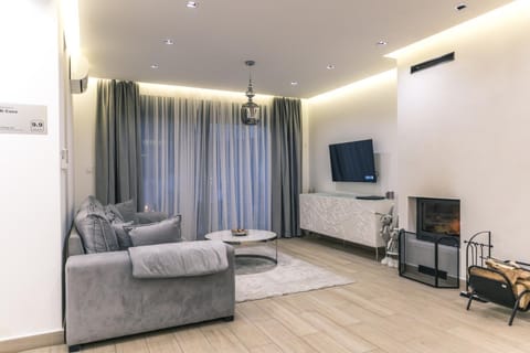 TV and multimedia, Living room, Seating area, fireplace, air conditioner