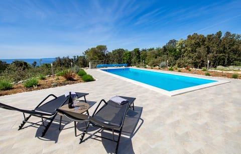 SEA VIEW VILLA *big pool * BBQ * direct sea access Villa in Lika-Senj County