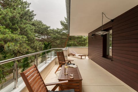 Spring, Day, View (from property/room), Balcony/Terrace, Seating area