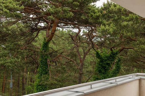 Spring, Day, Natural landscape, Garden, View (from property/room), Balcony/Terrace, Garden view