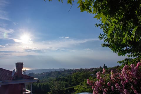 Natural landscape, Sunset