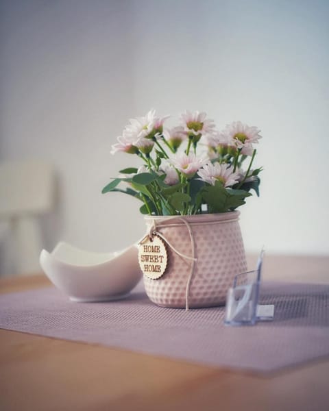 Room Armani Bed and Breakfast in Rovinj