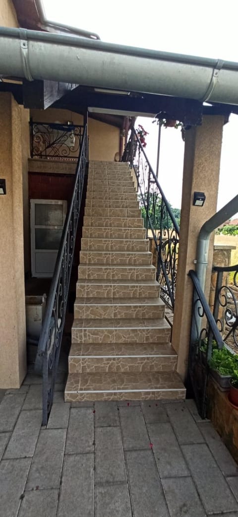 Vila Nikola & Aleksa House in Serbia