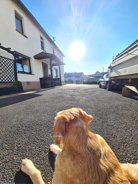 Inner courtyard view