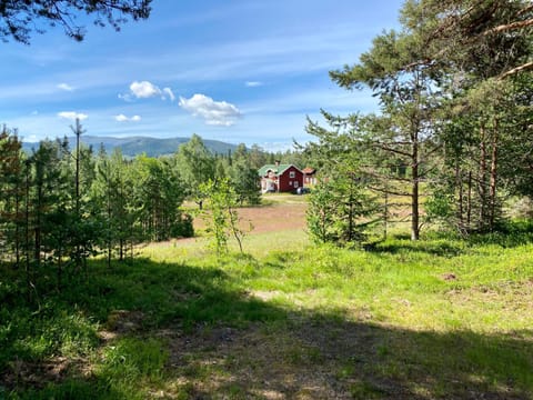 Natural landscape, Garden, Hiking