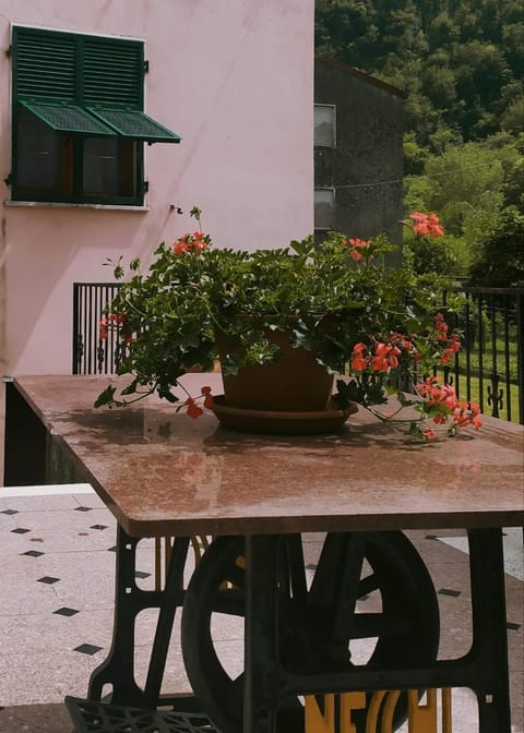 CASA SILVANA House in Province of Massa and Carrara