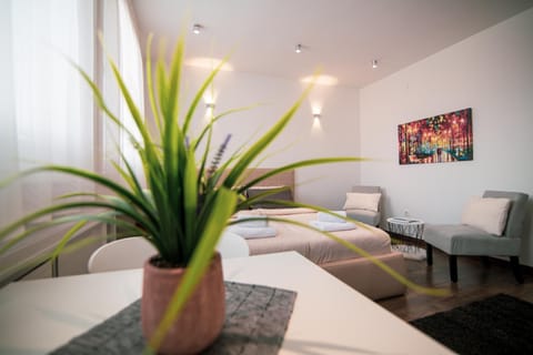 5 STAR CENTRAL STUDIO Apartment in Skopje