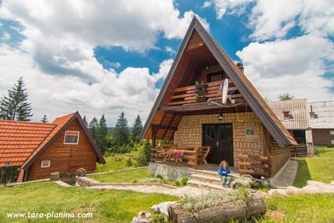 Planinska Kuća Dušan House in Zlatibor District, Serbia