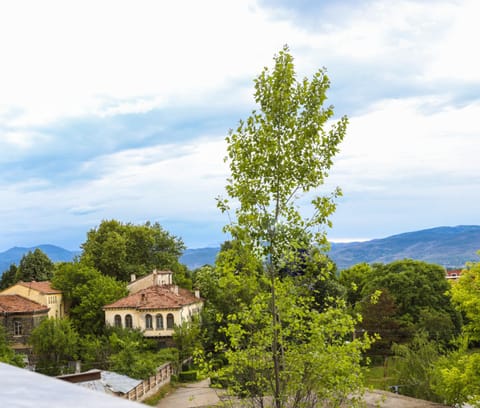 Edea's Apartment Apartment in North Macedonia