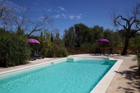 Garden, Swimming pool, sunbed