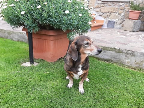 Retro' BeB Bed and Breakfast in La Spezia