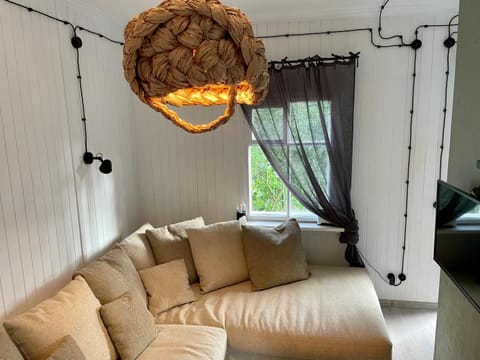 Living room, Photo of the whole room, Seating area