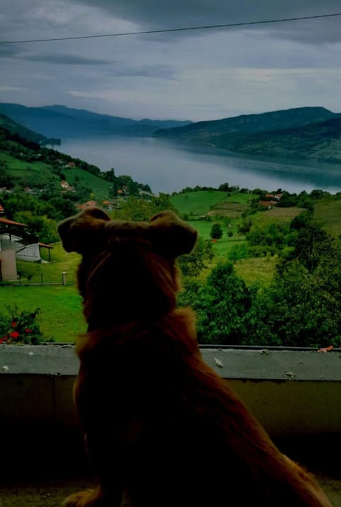 Apartment Danubius Vacation rental in Serbia