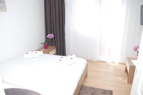 Apartment Danubius Vacation rental in Serbia