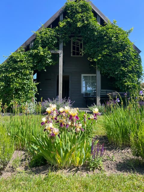 Domki w Porcie Genaker House in Lithuania