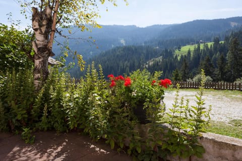 Day, Natural landscape, Quiet street view