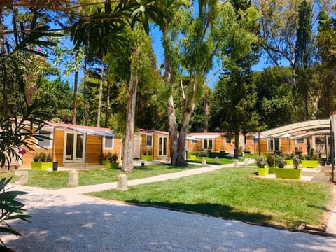 Natural landscape, Summer, View (from property/room), Garden view, Inner courtyard view