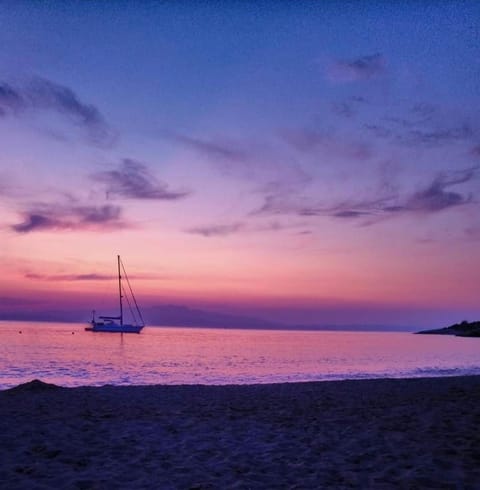 Natural landscape, Beach, Sunset