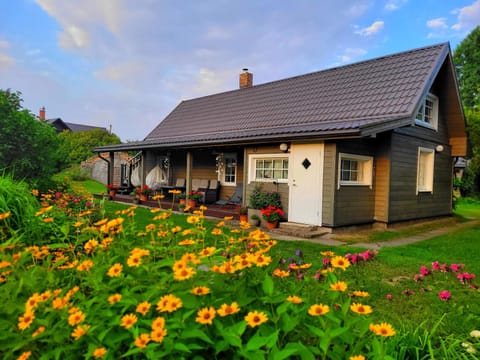 Property building, Summer, Garden