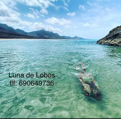 Natural landscape