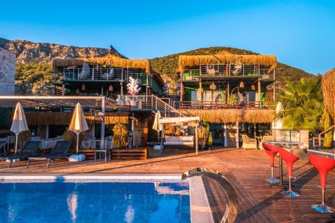 Property building, Day, Mountain view, Pool view, Swimming pool