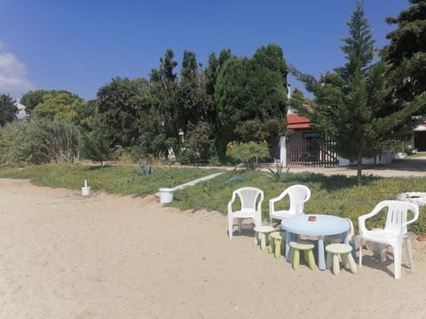Patio, Natural landscape