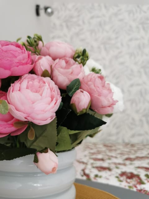 Upės apartamentai Apartment in Lithuania