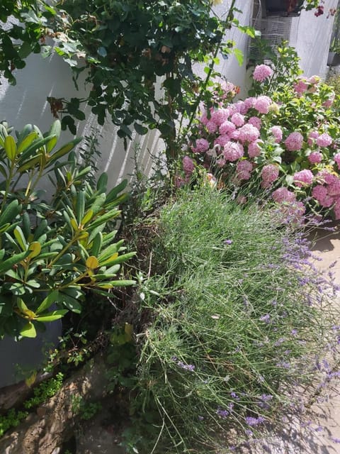 Ohrid Center Galerie House Apartment in Ohrid