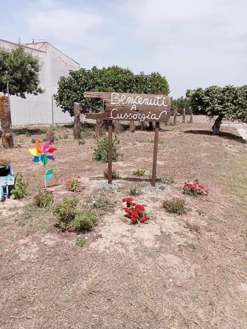 Natural landscape, Garden