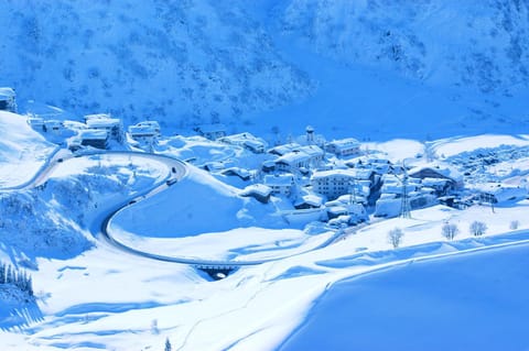 Neighbourhood, Natural landscape, Winter, Skiing