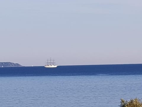 VIEILLE VILLE D AJACCIO de 1 a 4 PERs A 300M DU PORT ET A 15 MN DE LAEROPORT PROCHES DE PLUS BELLES PLAGES ET TTES COMMODITES A PROXIMITE Apartment in Ajaccio