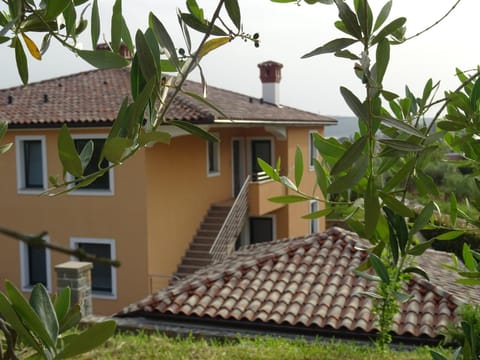 Property building, Garden view