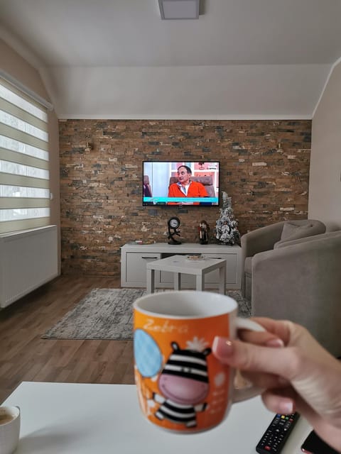 Apartman Pogled Arilje Apartment in Zlatibor District, Serbia