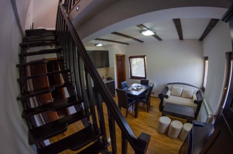 Vila Darija Zlatar - studio apartman br. 3 Apartment in Zlatibor District, Serbia