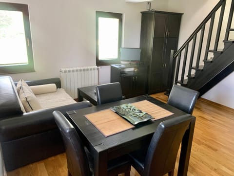 Vila Darija Zlatar - studio apartman br. 3 Apartment in Zlatibor District, Serbia