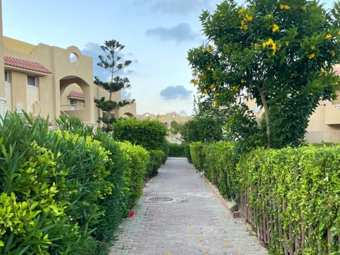 Property building, Garden