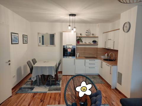 Apartman ALEM Bihac Apartment in Lika-Senj County