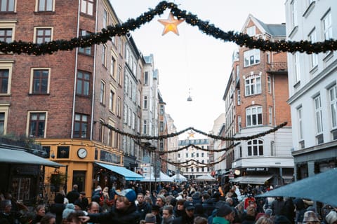 Cozy apartment in City Center Apartment in Frederiksberg