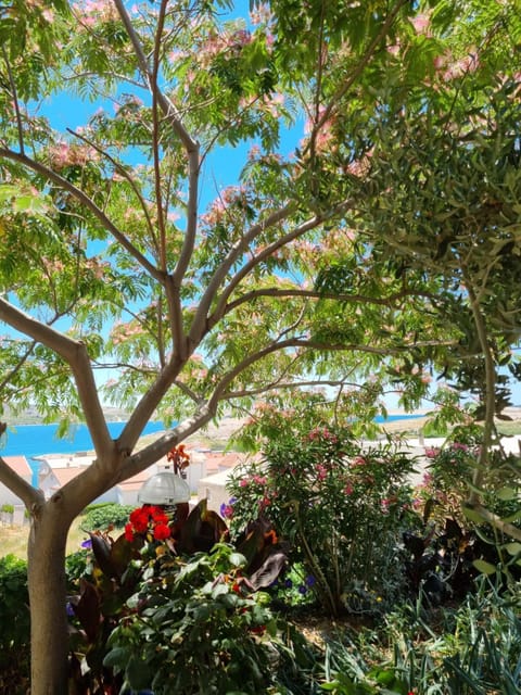 Apartments Ivan Apartment in Zadar County