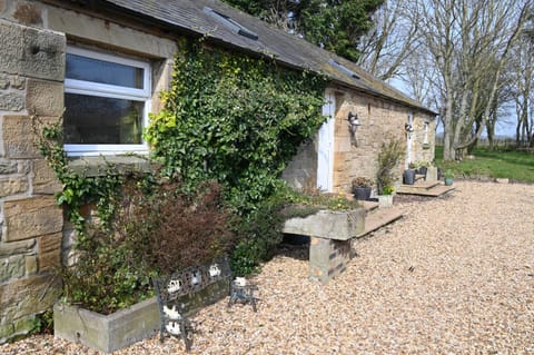 Stunning Barn Conversion next to Horse Field sleeps 10 House in England