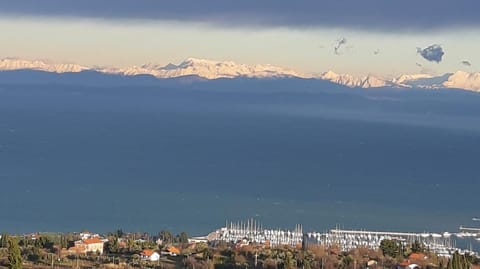 City view