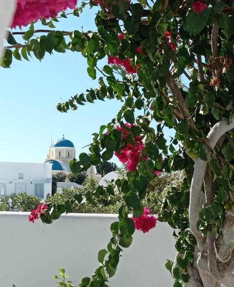 View (from property/room), View (from property/room)