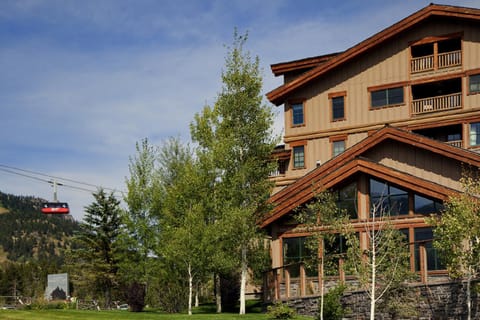 Property building, Property building, Day, Garden
